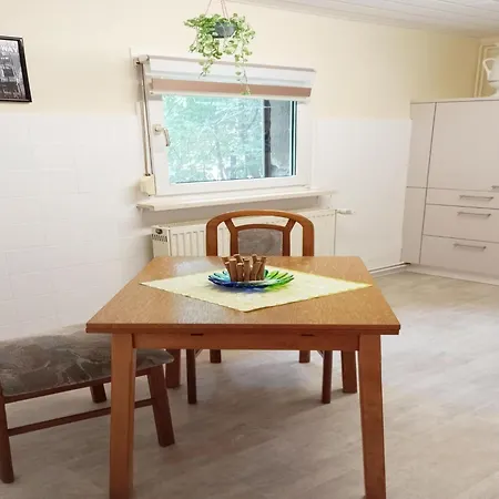 Flat In Ilsenburger Harz Near The Area, Cleaning Included Appartement Ilsenburg
