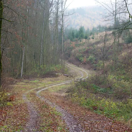 Appartement Flat In Ilsenburger Harz Near The Area, Cleaning Included