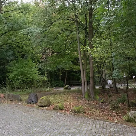 Flat In Ilsenburger Harz Near The Area, Cleaning Included Appartement *